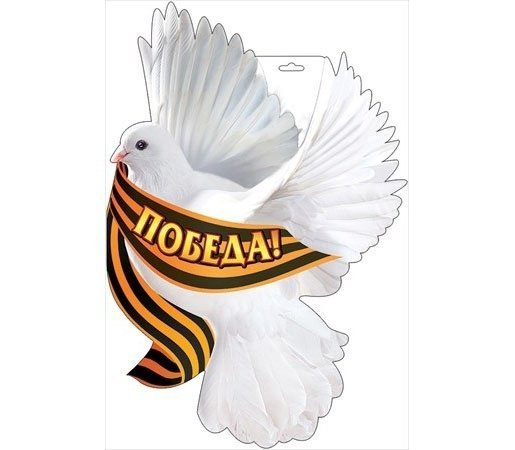 Голубь и Георгиевская ленточка