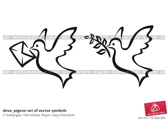 Картинки голубь со звездой (63 фото)