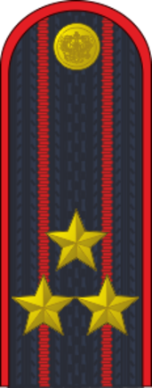 Погоны ДПС 2 звезды