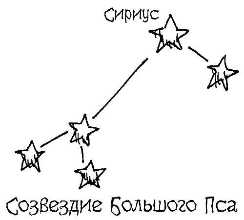 Брэдли Купер с животными