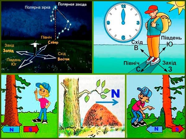 Ориентирование на местности по солнцу и местным признакам 3 класс