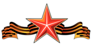 Гвоздики с георгиевской лентой