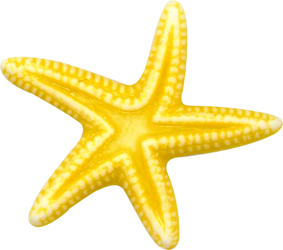 Морская Звездочка