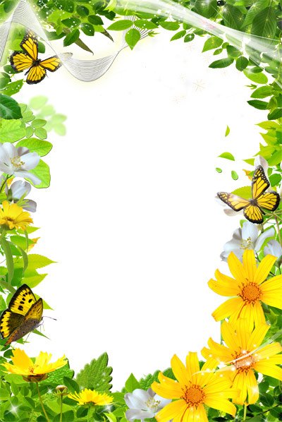 Красивая летняя рамка