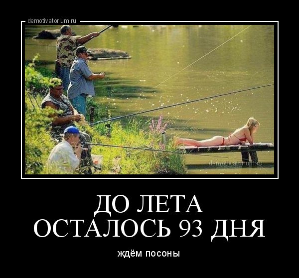 Демотиваторы про лето прикольные
