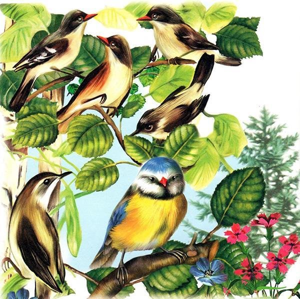 Синичка Зинька Бианки