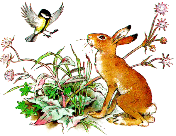 Бианки Синичкин календарь июнь