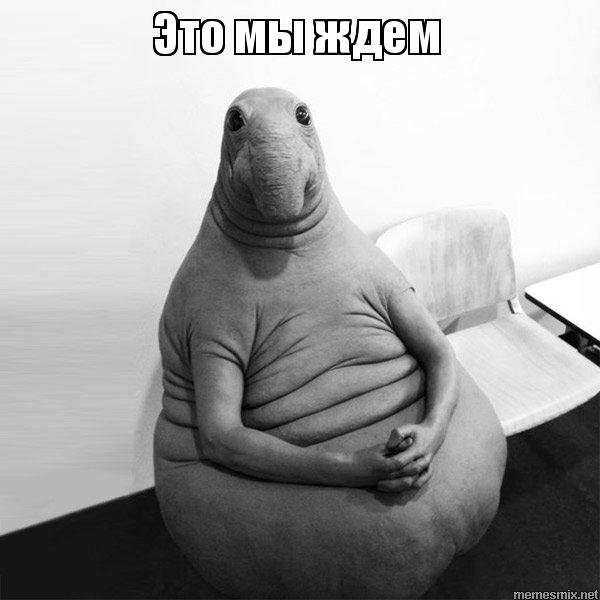 Мы ждем Мем