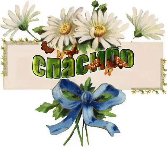 Летнее спасибо