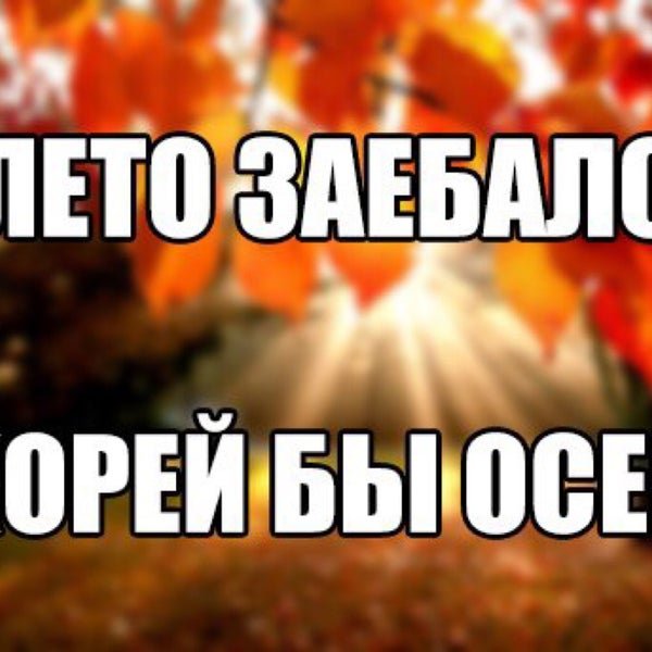 Ненавижу лето картинки