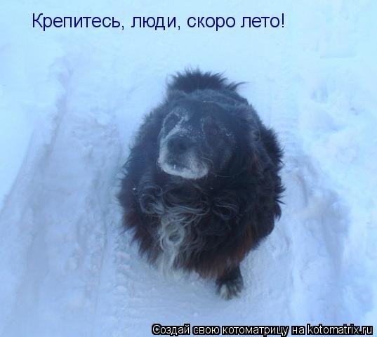 Люди скоро лето