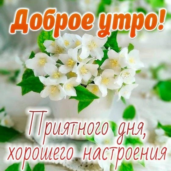 Картинки скоро лето доброе утро (46 фото)