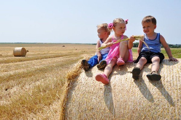 Мальчишки летом в деревне