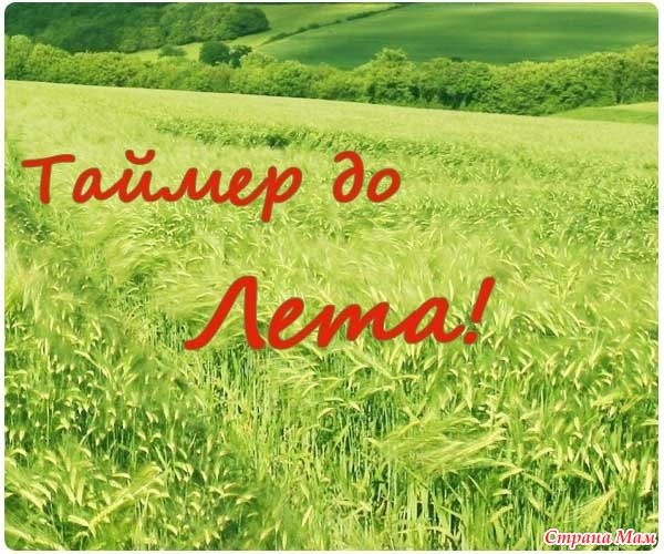 Надпись до лета осталось