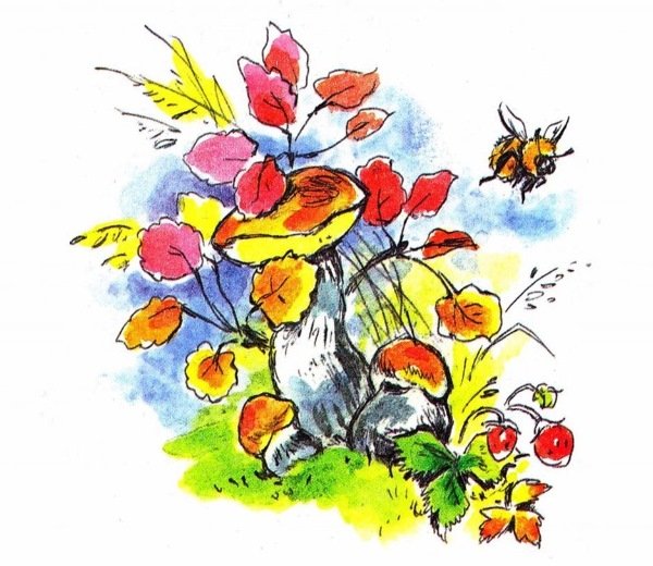 Экологическое путешествие