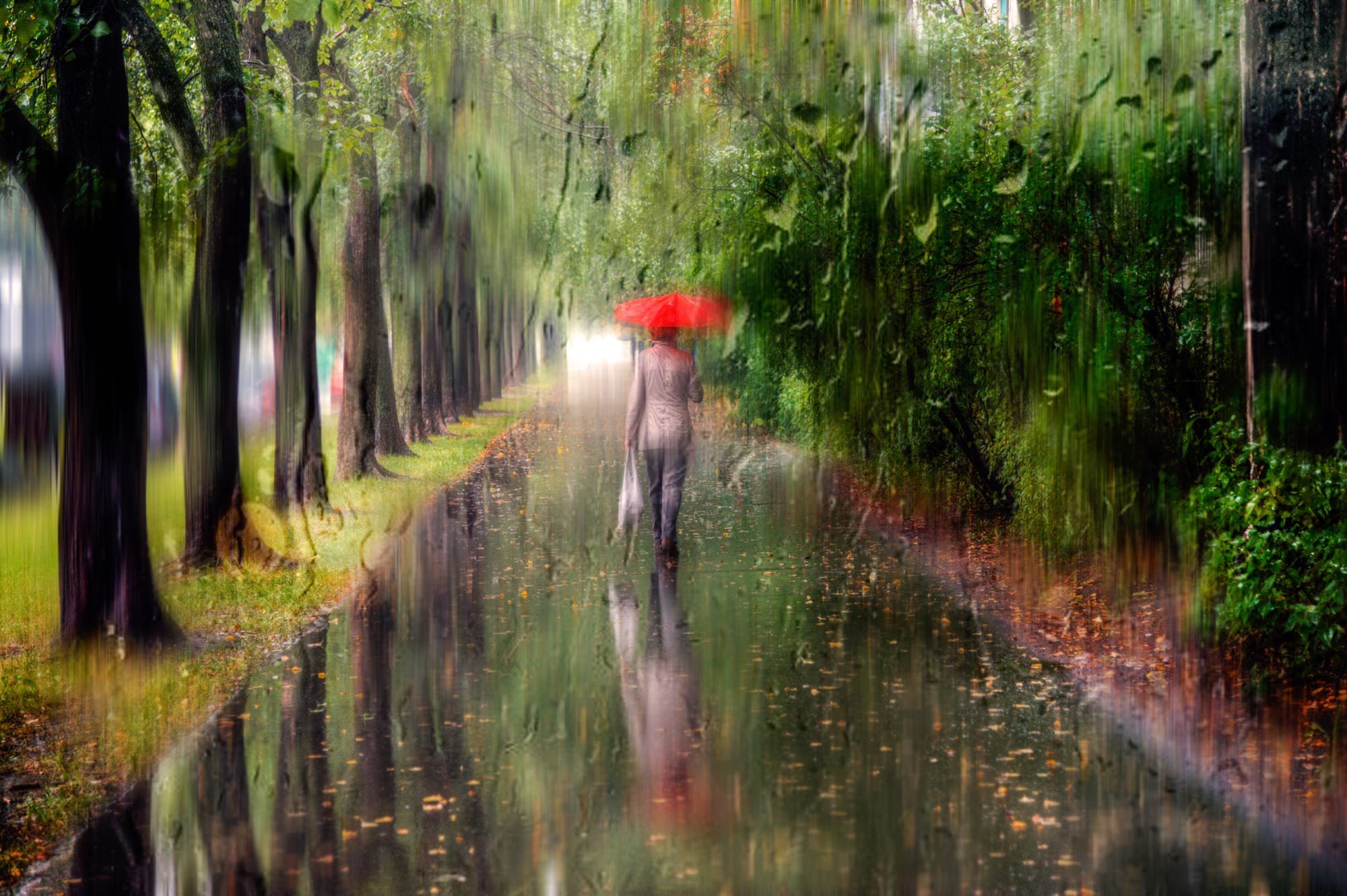 Картинки лета и дождя (69 фото) » Картинки и статусы про окружающий мир  вокруг