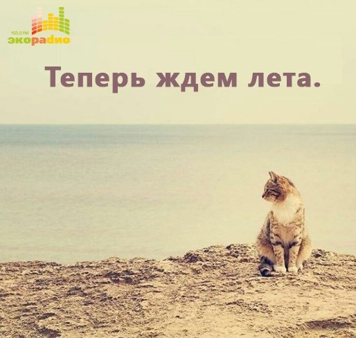 Теперь ждем лето