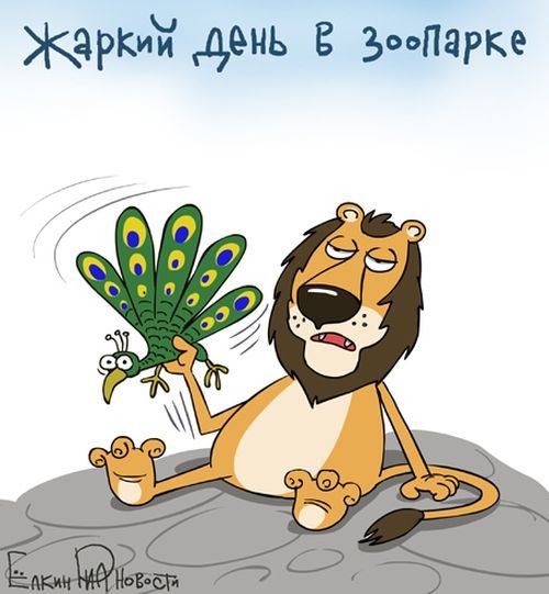 Карикатуры про жару