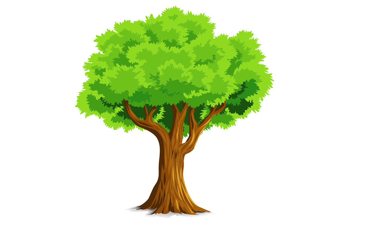 Раскраска Дерево | Раскраски для самых-самых маленьких ( года)