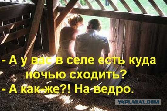 Собака на стоге сена