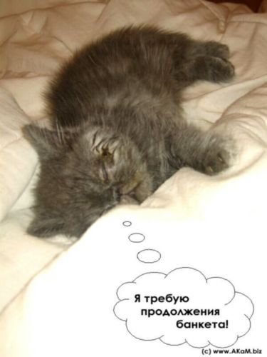 Требую продолжения лета