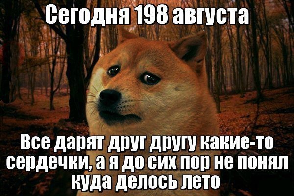 И зимой и летом небывалых ждать
