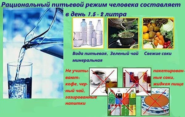 Питьевой режим в саду