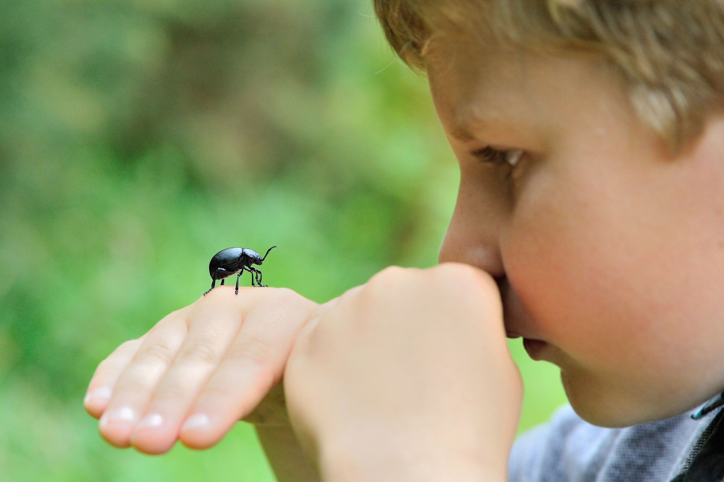 Наблюдать за бабочкой. Ребенок наблюдает. Насекомые для детей. Ддетти наблюдают за природой. Дети и природа.