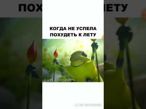 Не успели похудеть к лету похудеем к новому