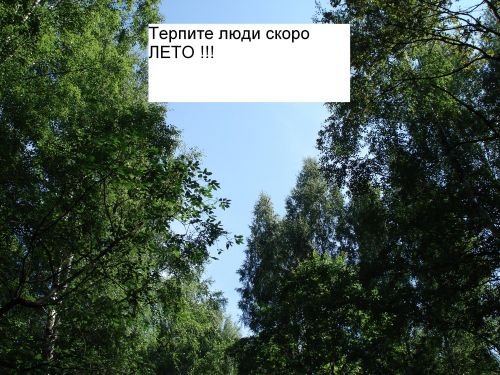 Окно для надписи