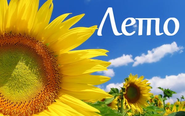 Лето картинки с надписью