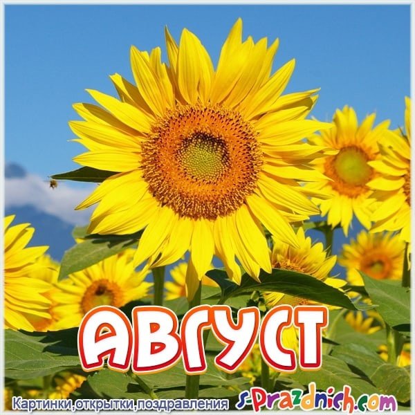 Надпись на песке