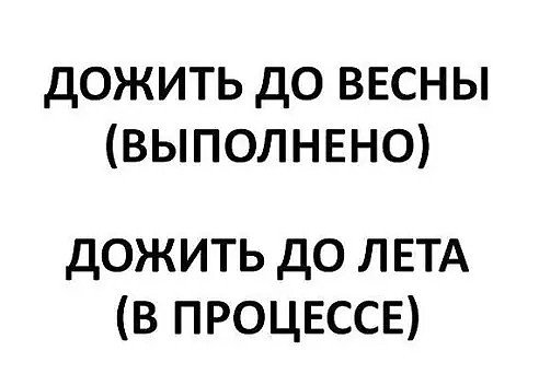 Цитаты из Доживем до понедельника