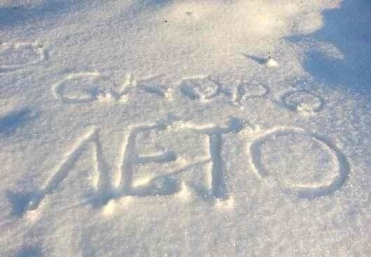 Хочется лето цитаты