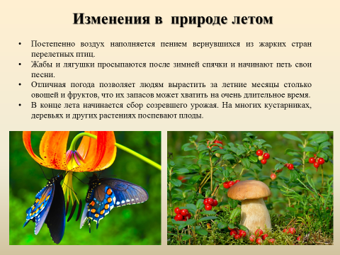 Приметы зимы для детей