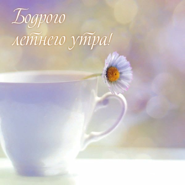Утро Весна цветы
