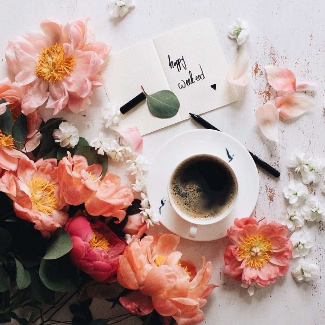 Доброго утра апреля стильные картинки. Кофе и цветы. Чашка кофе и цветы. Доброе утро стильные. Кофе цветы утро стильные.