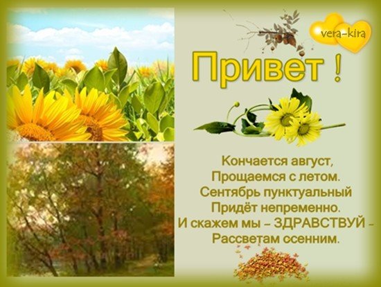 Прощаемся с летом стихи