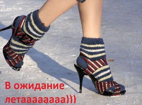 Картинки веселые холодное лето (69 фото)