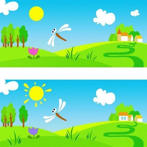 Найди отличия лето