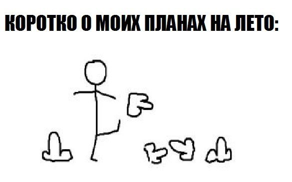 Планы на лето пинать