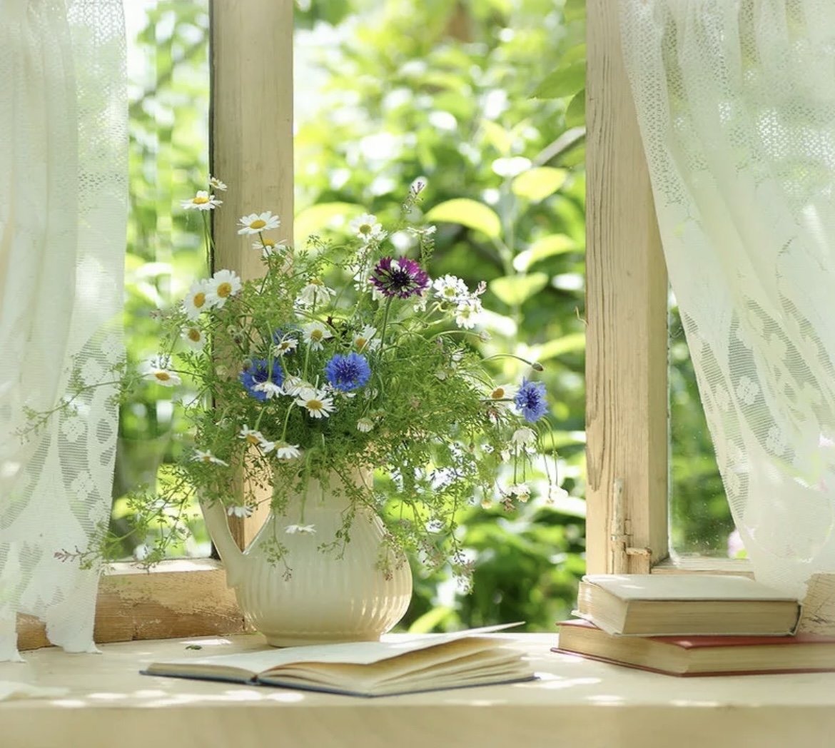 Новый день в мое окно. Цветы на окне. Подоконник с цветами. Растения на подоконнике. Окно с цветами.