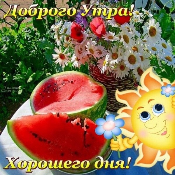Прекрасного дачного утра