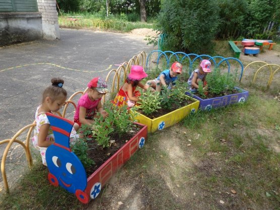 Благоустройство участка в детском саду