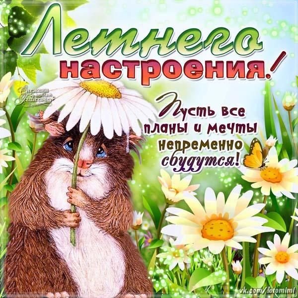 Отличного летнего настроения