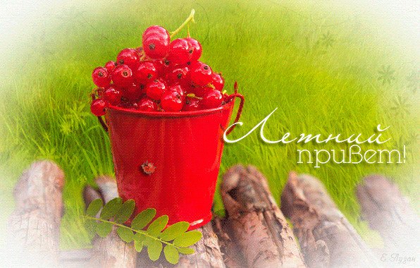 Летний привет