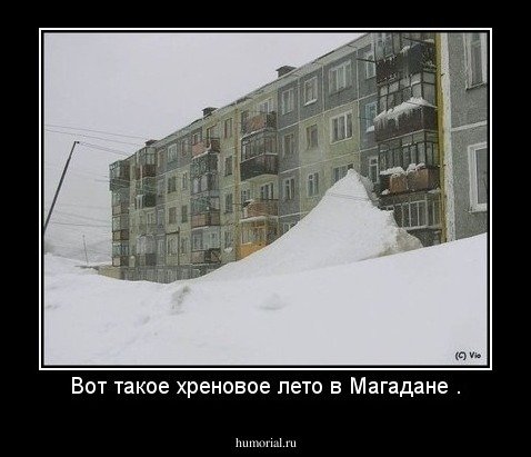 Про Холодное лето прикольные