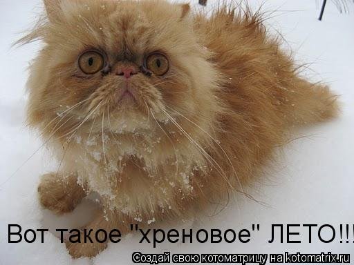 Вот такое Хреновое лето