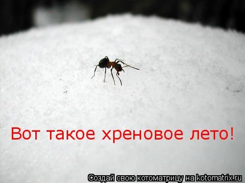 Егор Рудометкин