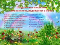 Аист с новорожденным